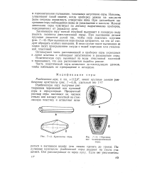 Пластическая сера картинки